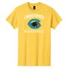 Heavy Cotton 100% Cotton T Shirt Thumbnail